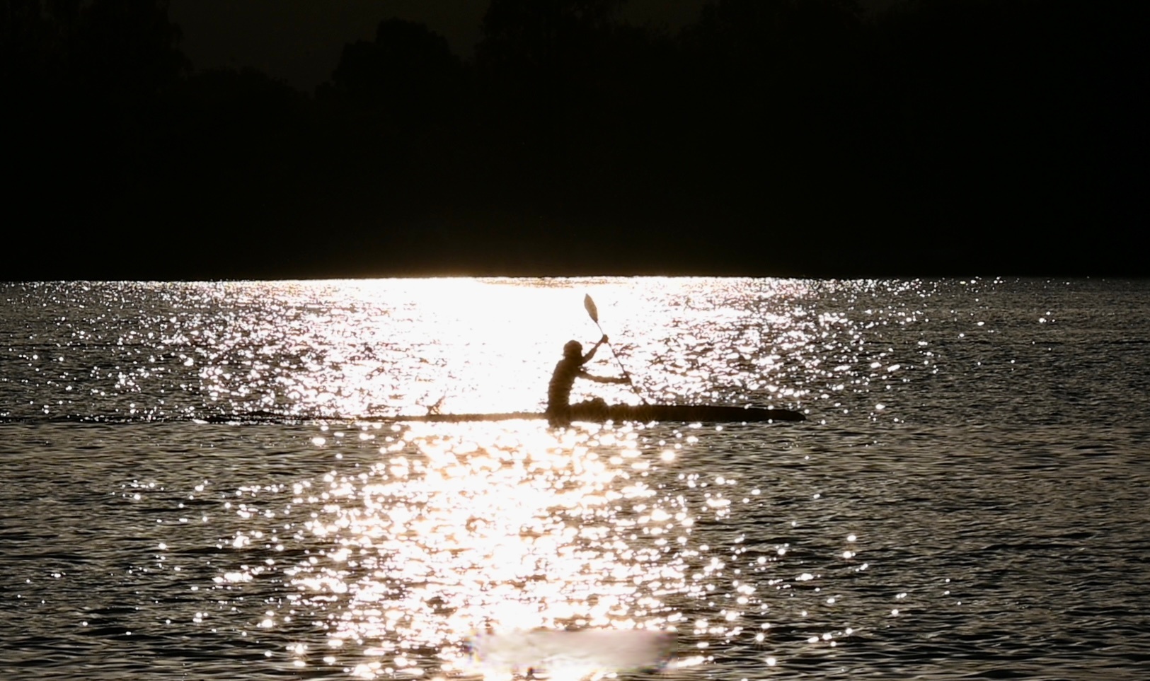 雷速官网下载-划船比赛水波荡漾人生彷徨