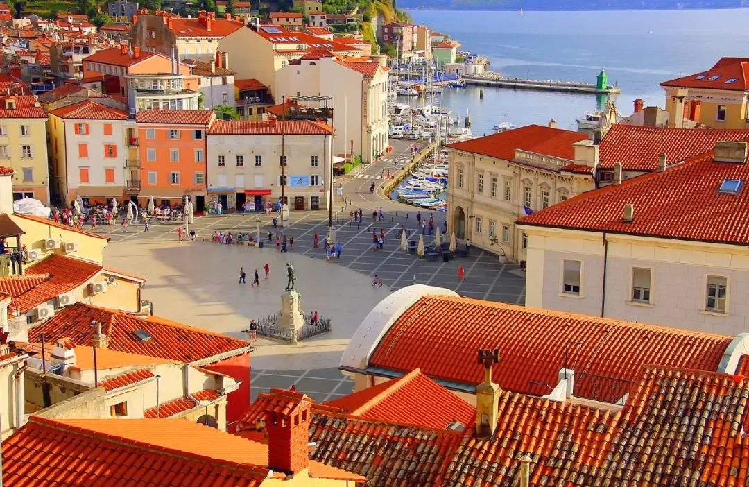 苏格兰队硬碰硬，斯洛文尼亚竭力抵挡